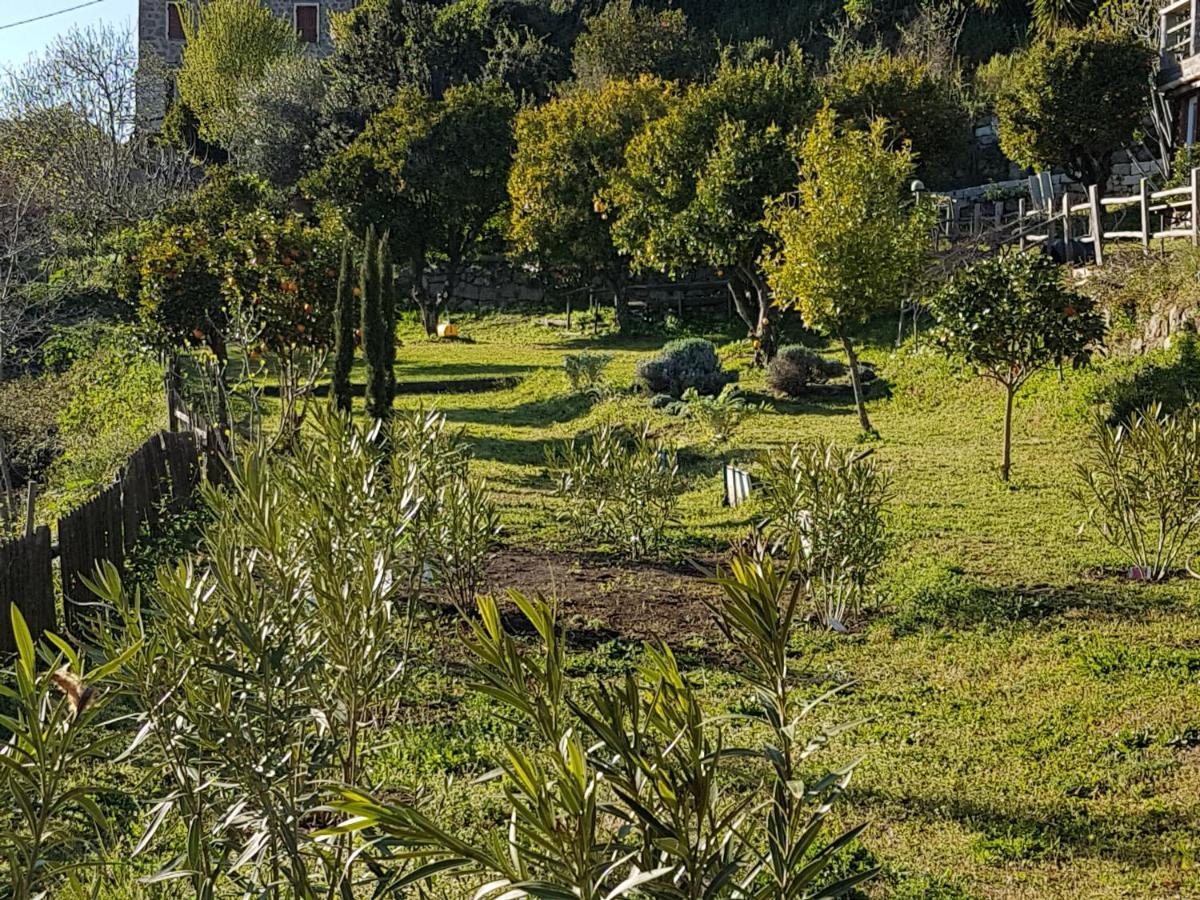 La Villa Guidi Pila-Canale Exteriér fotografie