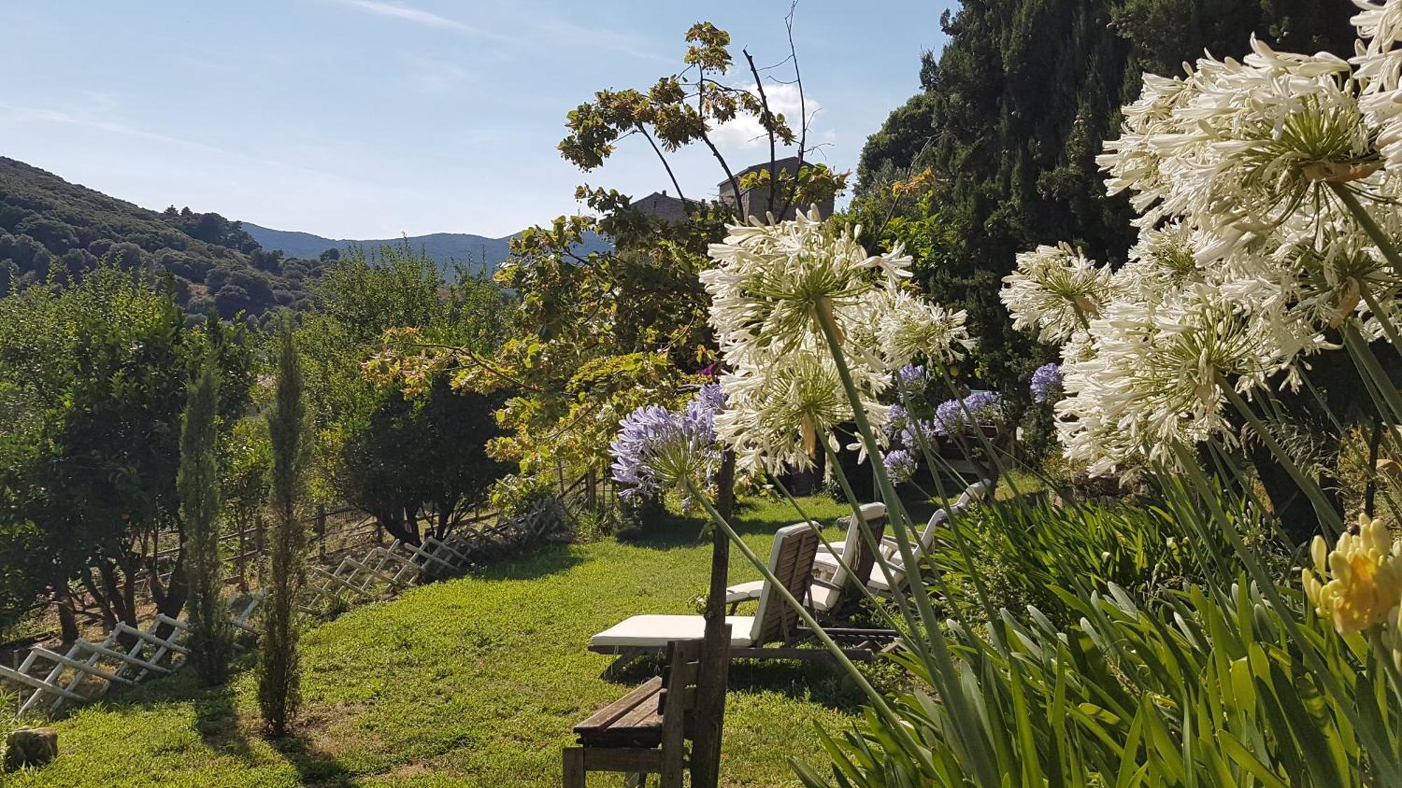 La Villa Guidi Pila-Canale Exteriér fotografie
